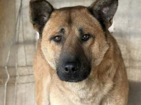 Churro - außen imposant, innen zuckersüß