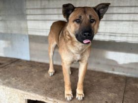 Churro - außen imposant, innen zuckersüß