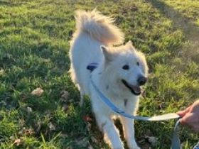 Über Benjamin – Blümchen