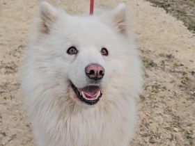 Über Tobi – auf der Suche nach einem sicheren Hafen