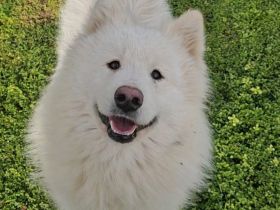 Über Beri – der sanfte Riese mit dem großen Herzen