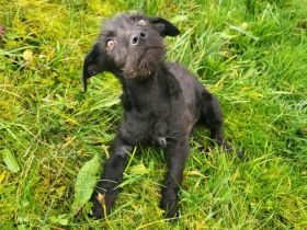 Wer schenkt dem kleinen Karsten sein Herz und ein liebevolles Zuhause?