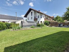 Suche groß werdenden, kurzhaarigen Mischlingswelpen