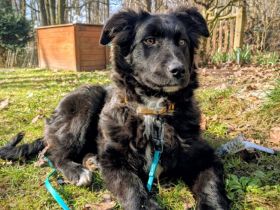 Kleine Göttin Sunna will Herzen erobern