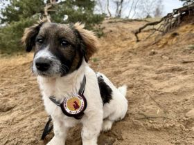 Athene wartet auf deine Nachricht