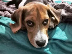 Yanna sucht Bewegung