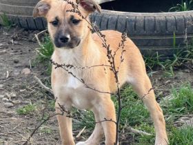 Marcie wartet auf ihr Ausreiseticket