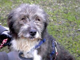 Die stille Mauri möchte gesehen werden