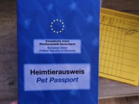 Wir suchen ein Mädchen für unseren Freund