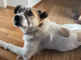 Bolero wartet auf dich