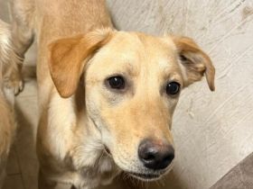 kleine Sonne Sinje sucht das Licht