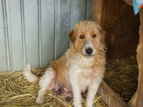 Runa berührt durch ihre sanfte und stille Art