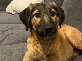 Darf ich vorstellen Prinzessin Embra