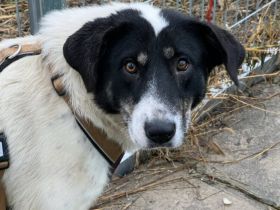 Aufgeschlossene Fay sucht eine Familie