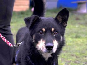 Sportlicher Joko sucht aktive Familie