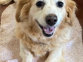 SUSHI sucht ihre Familie