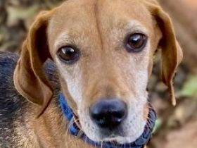 LINA sucht Familienanschluß