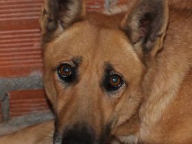 Kari sucht ihre eigenen Menschen!