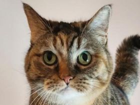 Margret & Melany (und Papa Jacob) suchen neuen Wirkungskreis mit gesicherten Balkon