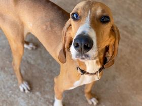 JAX auf Körbchensuche