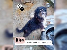 KIRA möchte das Leben leben