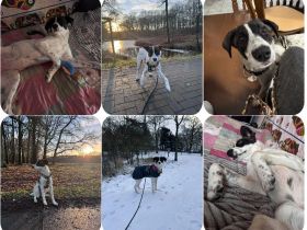 Sally – zuckersüße aktive junge Dame