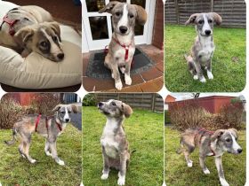 Horst – immer gut gelaunt