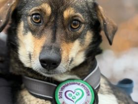 Tania unsere kleine sensible...