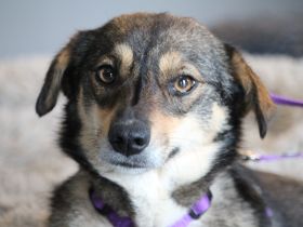 Tania unsere kleine sensible...