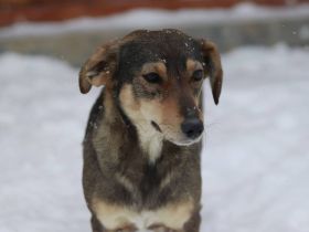 Soziale und fröhliche Melanie sucht Zuhause