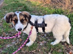 Sonnenschein Tessy hofft auf ihr Ticket ins Glück