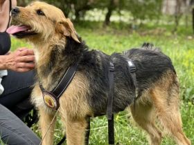Nova - ein Name wie ein Versprechen