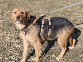 Nova - ein Name wie ein Versprechen