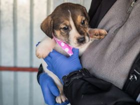 Zuckerstück Mina möchte die schöne Seite des Lebens kennenlernen
