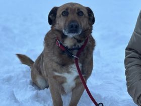 Wann findet das Glück endlich den wunderbaren Harry?