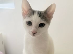 Noemie: Neugierig auf die Welt und auf Dich!