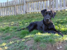 Harald sucht sein Happy End