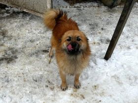 Dobby -  sucht aktive Menschen