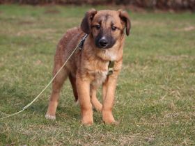 Lindro unser kleiner Charmeur