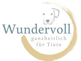 Wundervoll - Thomas Lehnicke