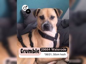 CRUMBLE - sanft und mutig