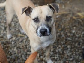 CRUMBLE - sanft und mutig