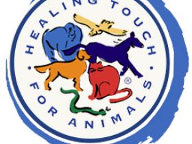 Seminar zum Healing Touch for Animals®-Anwender