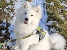 Über Cali der Rohdiamant