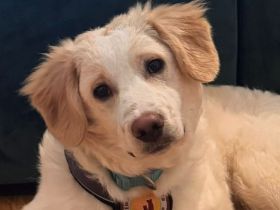 Mallow sucht seine Familie