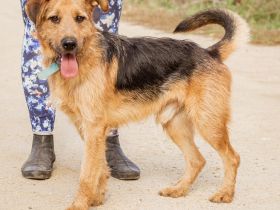 Roland, ein schlaues Bürschchen und sehr aktiv