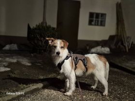 Bilbo sucht Sicherheit