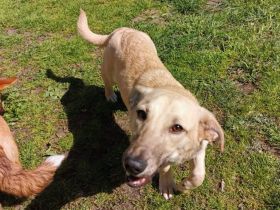 Herr Sander wartet auf dich