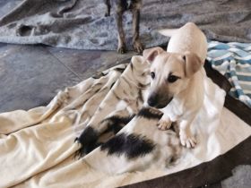 Herr Sander wartet auf dich