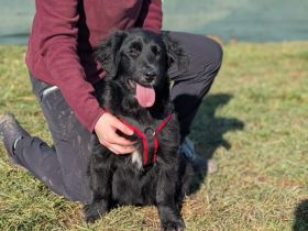Ankommen, Vertrauen, Bleiben - Layla sucht ihre Menschen